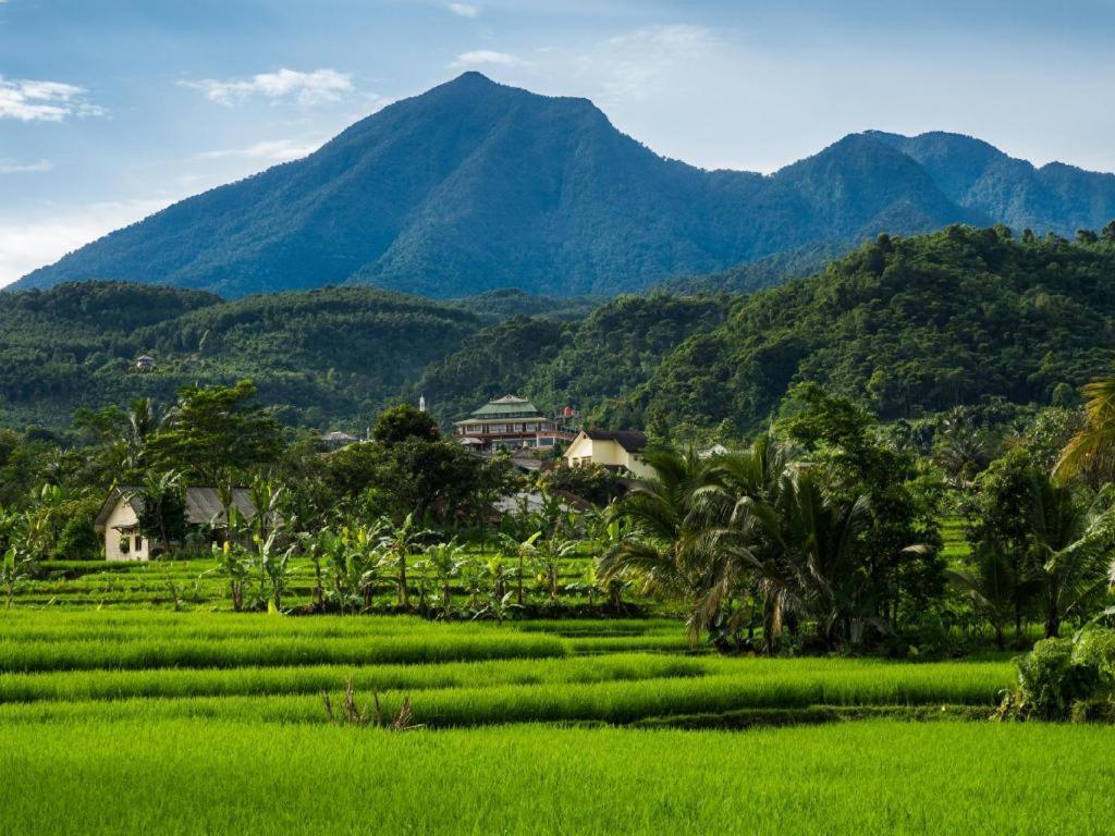 Rizen Padjadjaran Hotel Bogor Kültér fotó